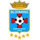 Escudo de Blooming