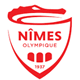 Escudo de Nimes