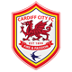 Escudo de Cardiff City