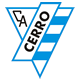 Escudo de Cerro