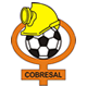 Escudo de Cobresal