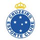 Cruzeiro Esporte Clube 