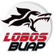 Escudo de Lobos B.U.A.P.