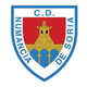 Escudo de Numancia