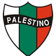 Club Deportivo Palestino